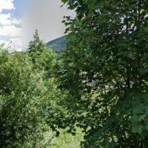 obrazek: avatar GRANDSTAV CZ