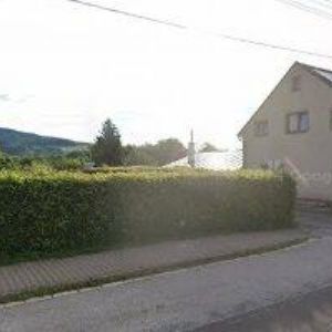 obrazek: avatar MĚSTYS Mladé Buky