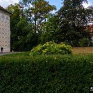 obrazek: avatar ZÁMEK DOUDLEBY