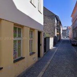 obrazek: avatar RAPA-DOG s.r.o.