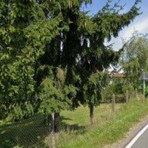 obrazek: avatar OBEC Máslojedy