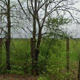 STAG STAVEBNINY s.r.o.