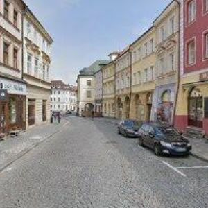 obrazek: avatar SALÁKOVÁ VLASTA