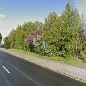 obrazek: avatar OCULUS , spol. s r.o.