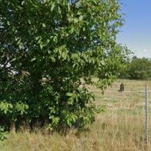 obrazek: avatar SAAR GUMMI CZECH s.r.o.