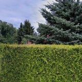 BAHA KOSTELEC NAD ORLICÍ s.r.o.