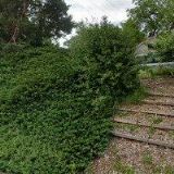 POVRCHOVÉ ÚPRAVY PECKA spol. s r.o.