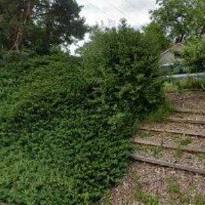 obrazek: avatar POVRCHOVÉ ÚPRAVY PECKA spol. s r.o.