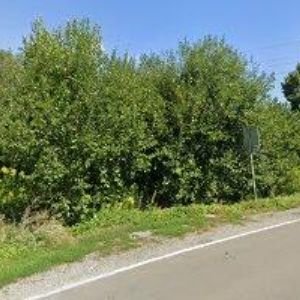 obrazek: avatar ZÁKLADNÍ KYNOLOGICKÁ ORGANIZACE 336