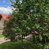 V+V DESIGN INTERIÉR