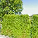 CIMFLOVÁ RENATA-FYZIOTERAPIE