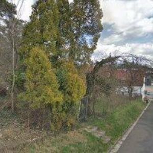 obrazek: avatar VANIŠ JAN