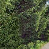 ZAHRADY A DLAŽBY VOBORNÍK s.r.o.