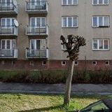 REALING-LEMBERKOVÁ JANA