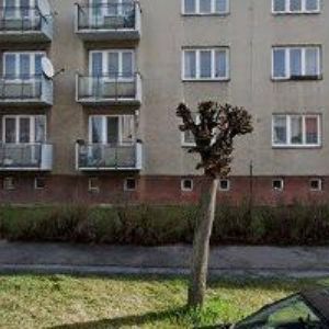 obrazek: avatar REALING-LEMBERKOVÁ JANA