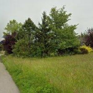 obrazek: avatar NÁPRAVNÍK ZDENĚK