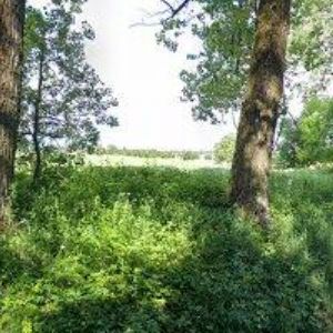 obrazek: avatar KOBER MARTIN