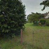 ENGLISH BULLDOG KENNEL BAJOKA