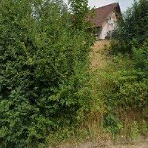 obrazek: avatar PILA SEMECHNICE