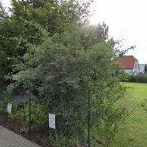 obrazek: avatar PEKAŘSTVÍ A CUKRÁŘSTVÍ ZAJÍČEK