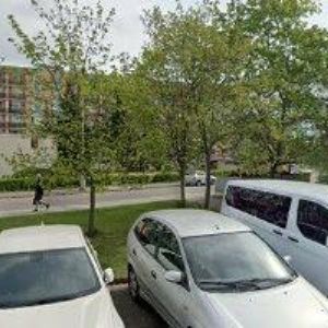 obrazek: avatar ZELINKO LUKÁŠ