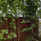 ACTUAL SPINNING a.s.