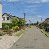 RŮŽIČKA VLADIMÍR