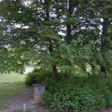 JUNÁK-ČESKÝ SKAUT, STŘEDISKO BRÁNA Jičín