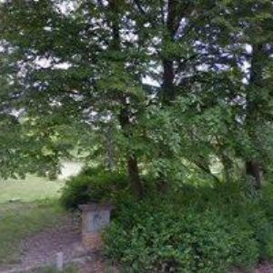 obrazek: avatar JUNÁK-ČESKÝ SKAUT, STŘEDISKO BRÁNA Jičín