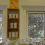 ARBORISTIKA HRADEC KRÁLOVÉ