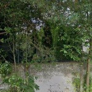 obrazek: avatar SVOBODA JIŘÍ-ZOOFIT.CZ