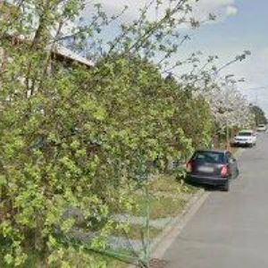 obrazek: avatar JUNÁK-ČESKÝ SKAUT, STŘEDISKO Opočno