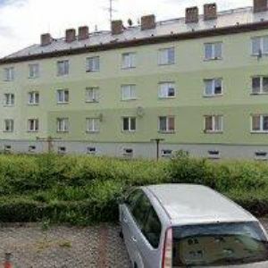 obrazek: avatar BOUMOVÁ VERONIKA