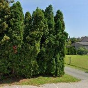 obrazek: avatar OBEC Velká Jesenice