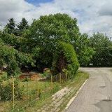 TAUCHMANOVÁ JIŘINA