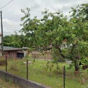 obrazek: avatar ČESKÝ RYBÁŘSKÝ SVAZ MO Nová Paka