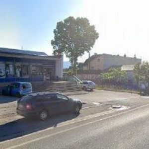 obrazek: avatar SAFÍN JAN