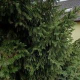 IZOLATÉRSTVÍ L & L