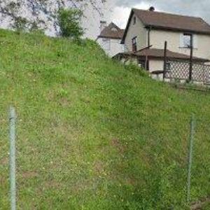 obrazek: avatar MUSIL VRATISLAV