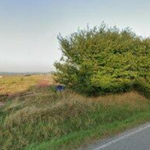 obrazek: avatar PŮHONÝ DAVID