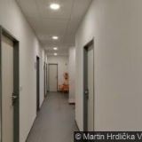 ZLATÝKURÝR.CZ s.r.o.