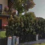 WM WEBOVÝ MARKETING