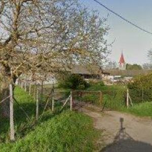 obrazek: avatar PROLANA CZ s.r.o.