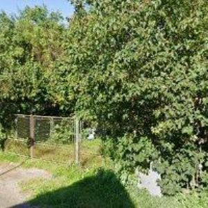 obrazek: avatar PUJCOVNAVOZUHK