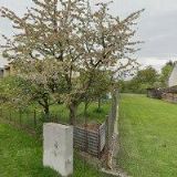 JINDRA LEOŠ-ZÁMEČNICTVÍ