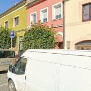 obrazek: avatar MACHÁČKOVÁ MARIE-KVĚTINY