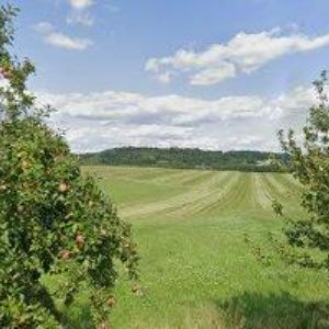 obrazek: avatar NÁBOŽENSKÁ OBEC CÍRKVE ČESKOSLOVENSKÉ HUSITSKÉ VE VELKÉM VŘEŠŤOVĚ