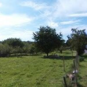 obrazek: avatar NÁBOŽENSKÁ OBEC CÍRKVE ČESKOSLOVENSKÉ HUSITSKÉ VE STUDNICI