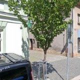 MAGISTRA-LÉKÁRNA U ZLATÉ ČÍŠE