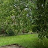 VÝDEJNA LÉČIV HOŘIČKY